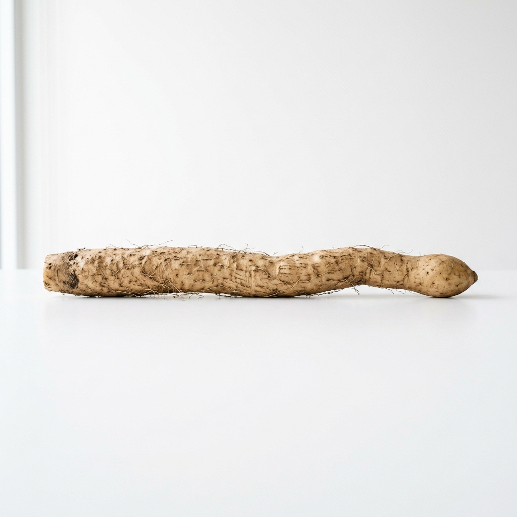 100g Iron-stick Yam (铁棍山药)
